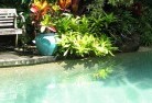 Armstrong Creek QLDswimming-pool-landscaping-3.jpg; ?>